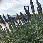 Apartment Sol Mar Portimao