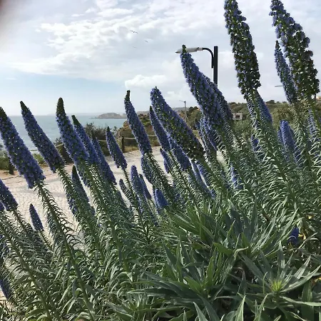 Lägenhet Sol Mar Portimão