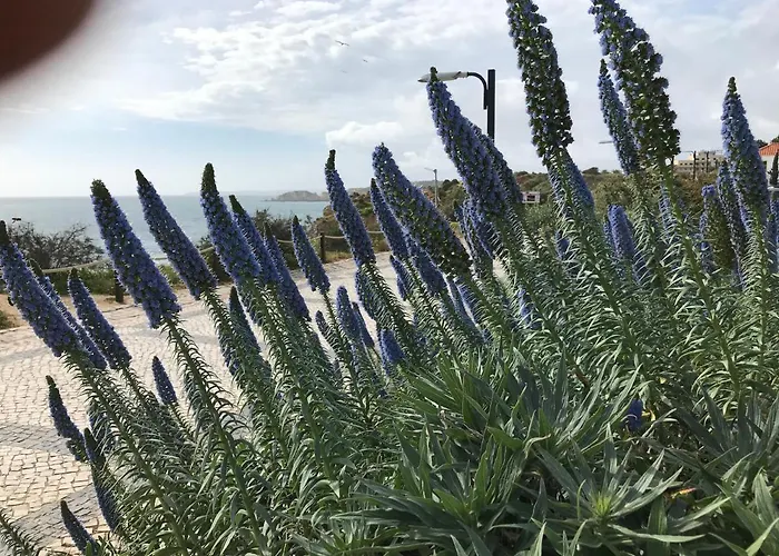 Lägenhet Sol Mar Portimão